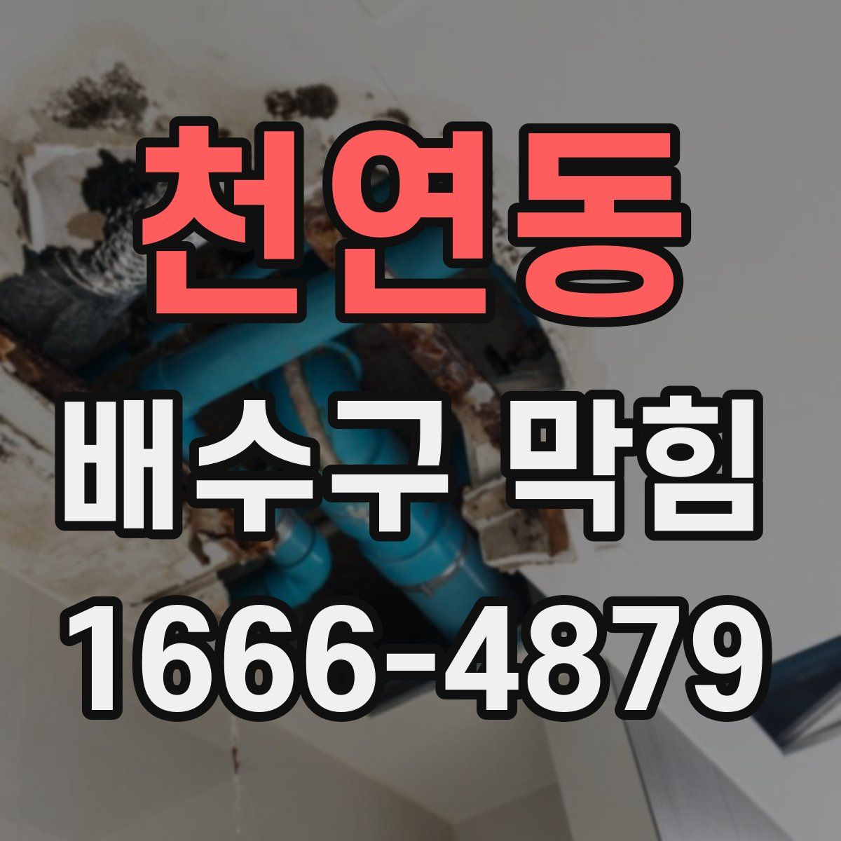 천연동 배수구 막힘