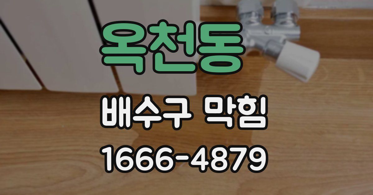 옥천동 배수구 막힘