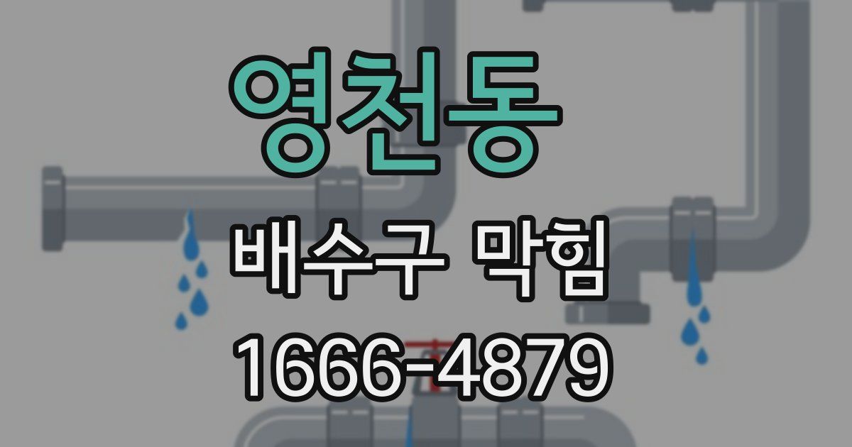 영천동 배수구 막힘