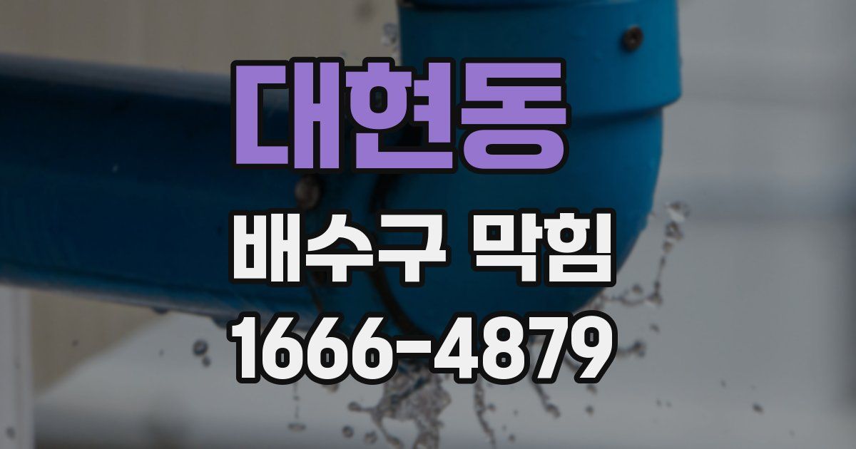 대현동 배수구 막힘
