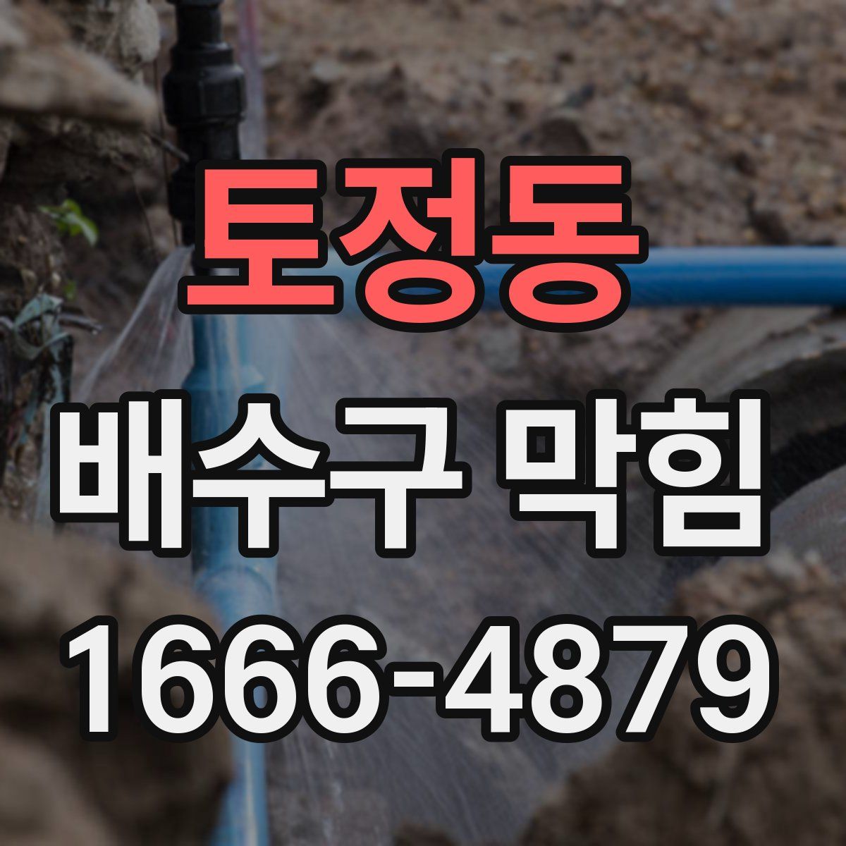 토정동 배수구 막힘