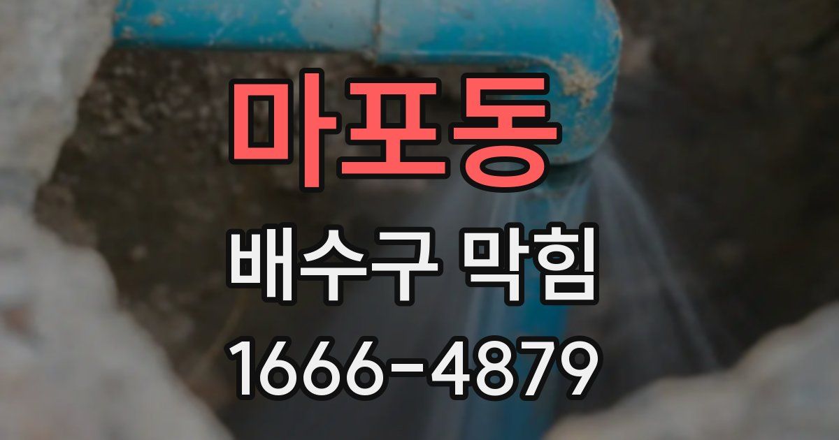 마포동 배수구 막힘