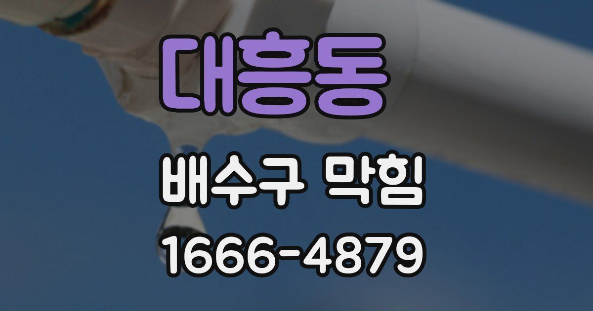 대흥동 배수구 막힘