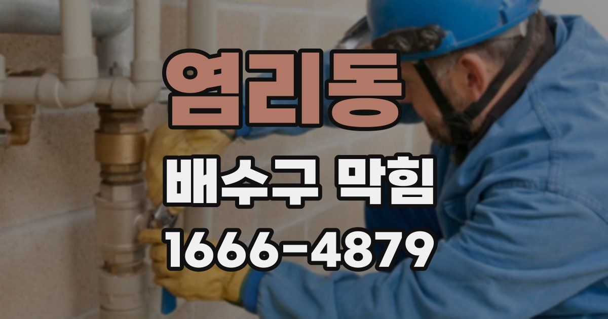 염리동 배수구 막힘