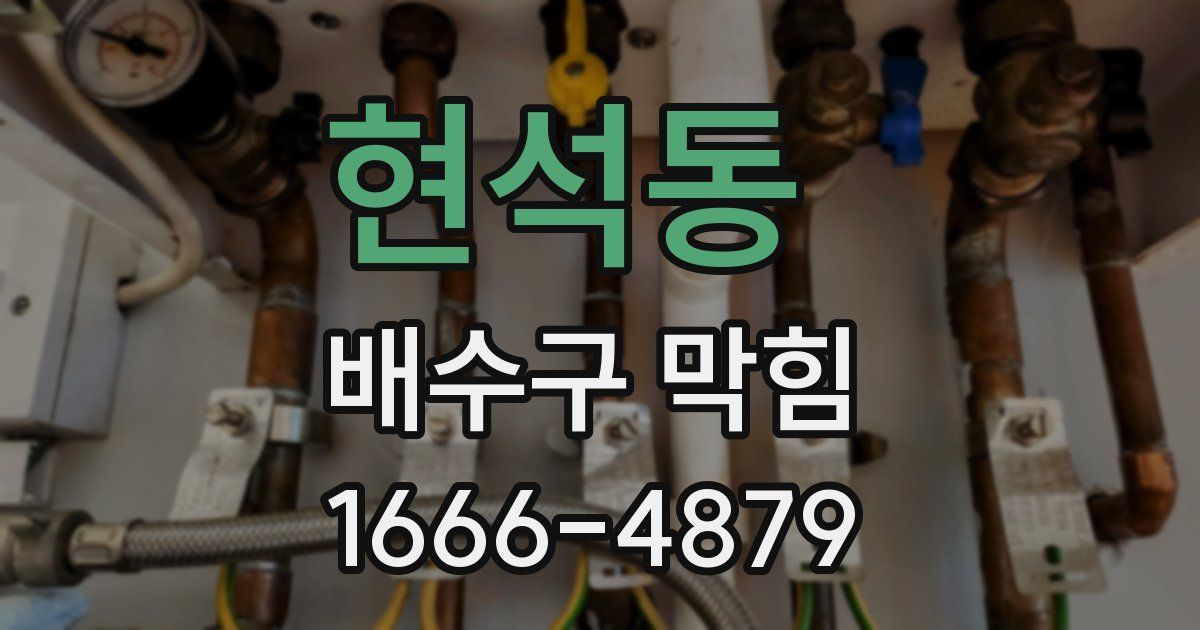 현석동 배수구 막힘