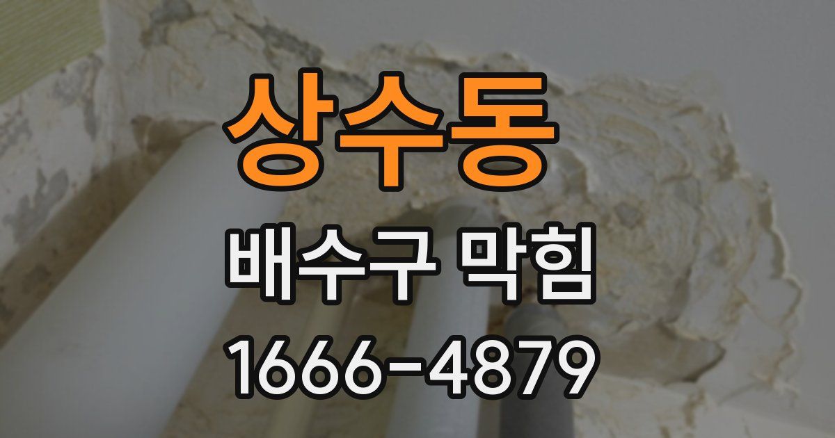 상수동 배수구 막힘