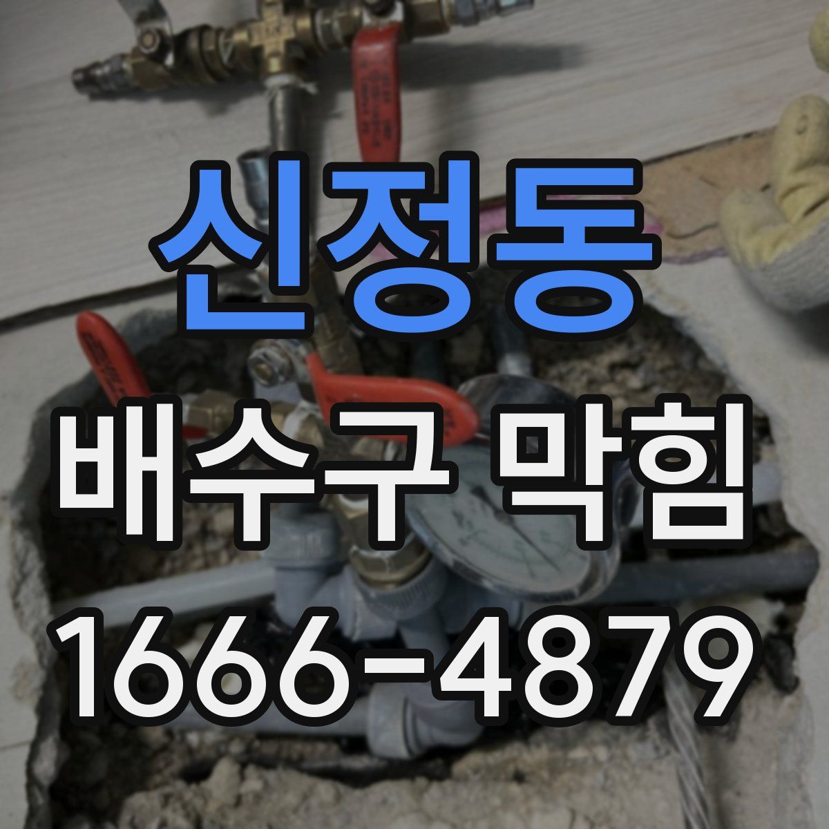 신정동 배수구 막힘