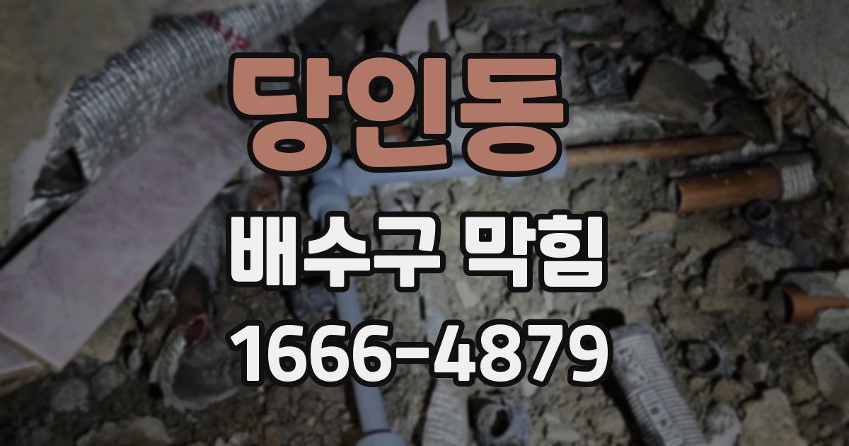 당인동 배수구 막힘
