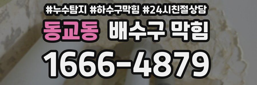 동교동 배수구 막힘