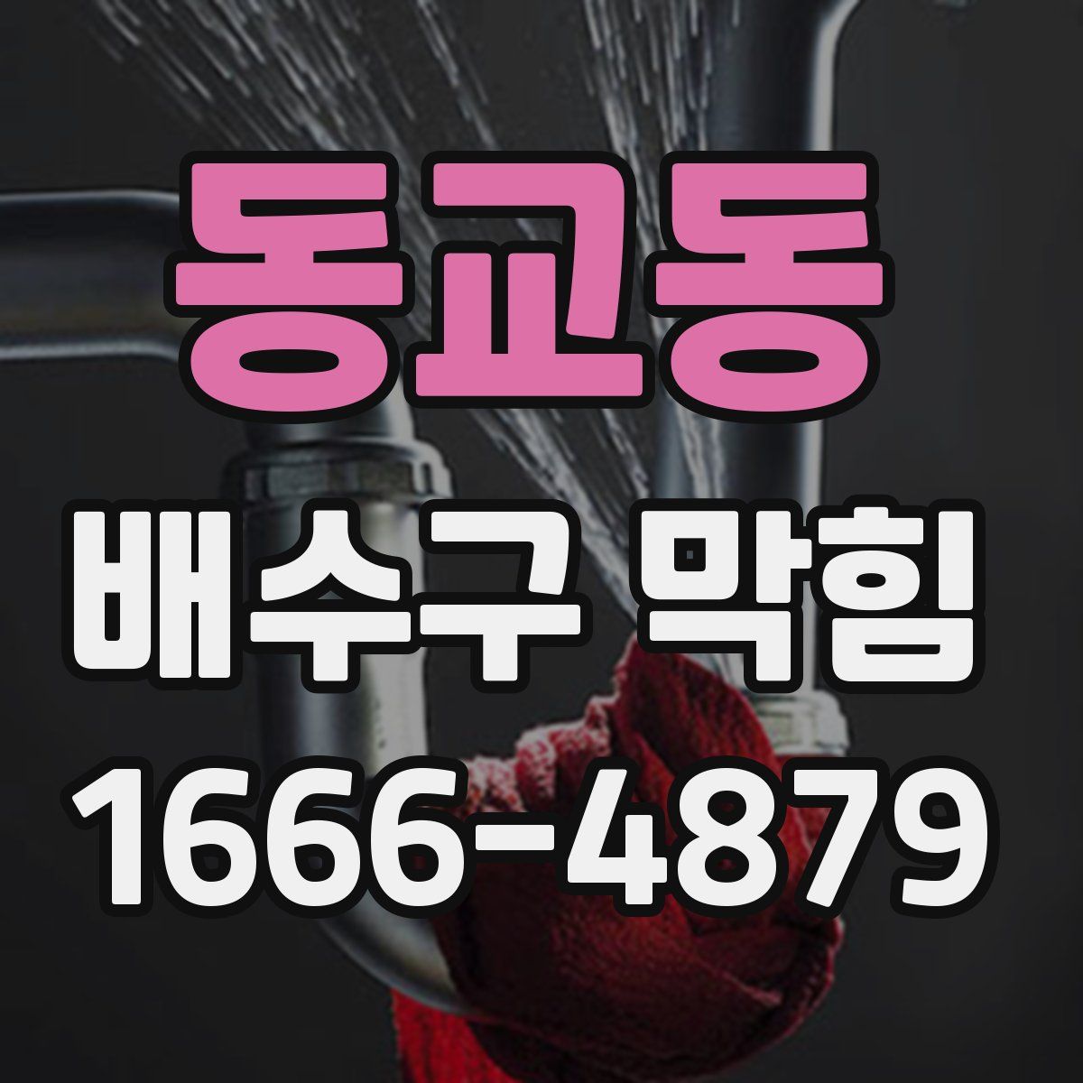 동교동 배수구 막힘