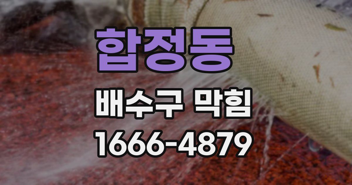 합정동 배수구 막힘