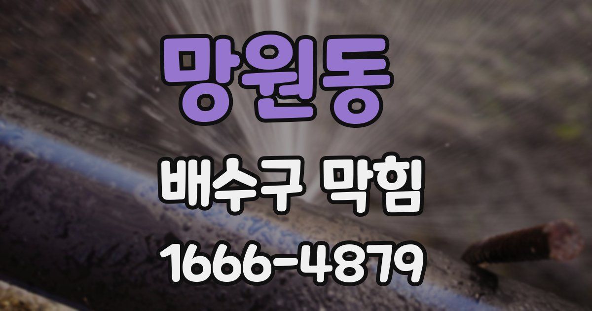 망원동 배수구 막힘