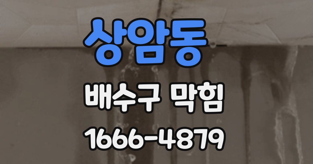 상암동 배수구 막힘
