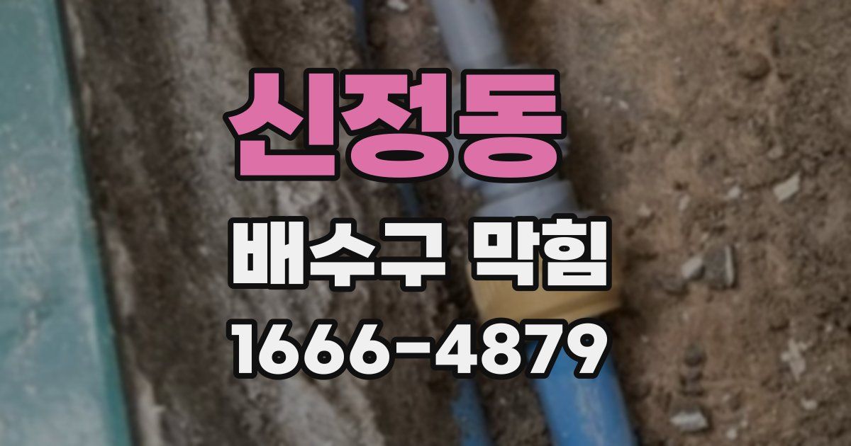 신정동 배수구 막힘