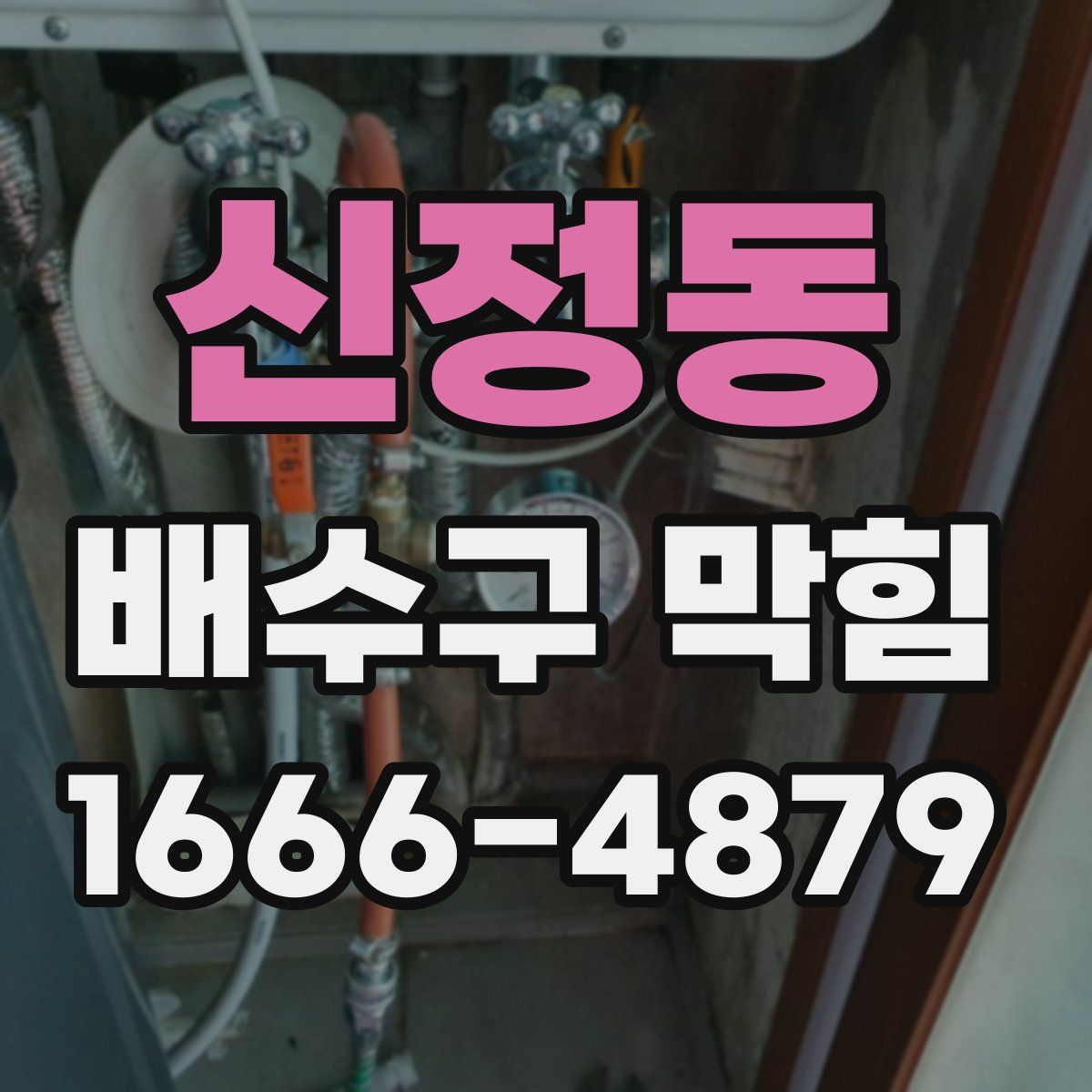 신정동 배수구 막힘