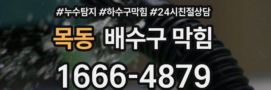 목동 배수구 막힘