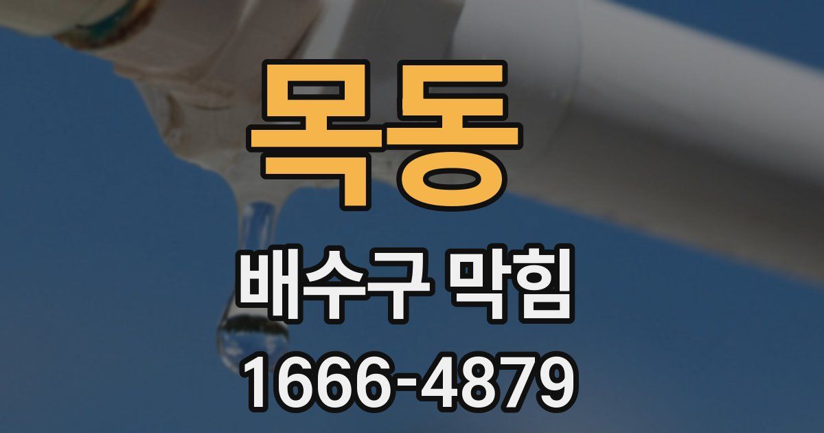 목동 배수구 막힘