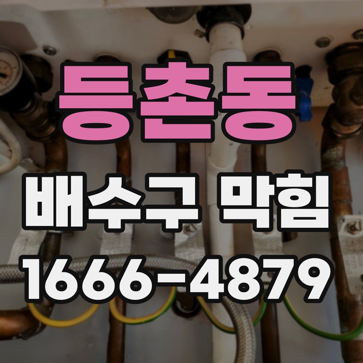 등촌동 배수구 막힘