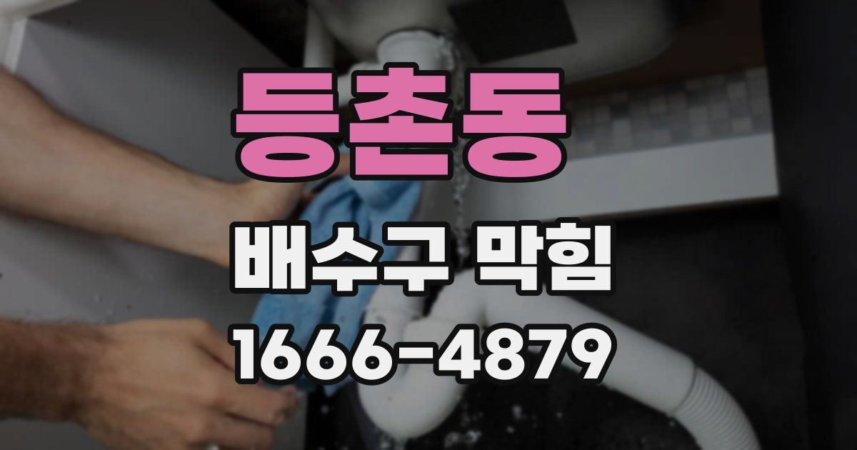 등촌동 배수구 막힘