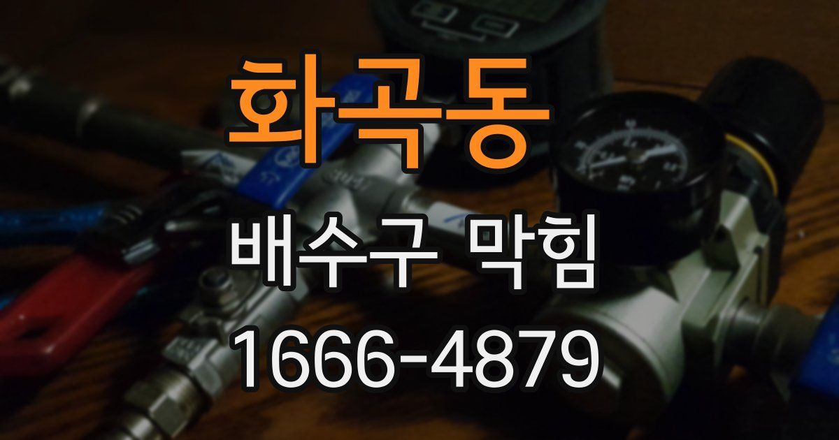 화곡동 배수구 막힘