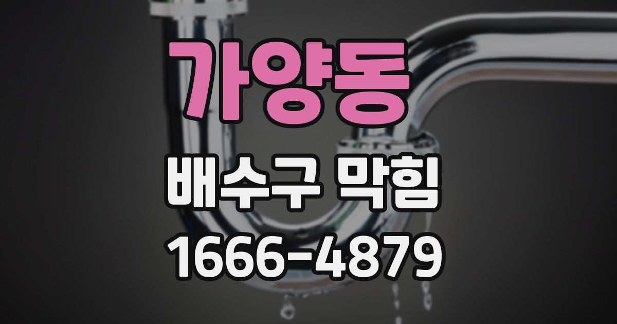 가양동 배수구 막힘