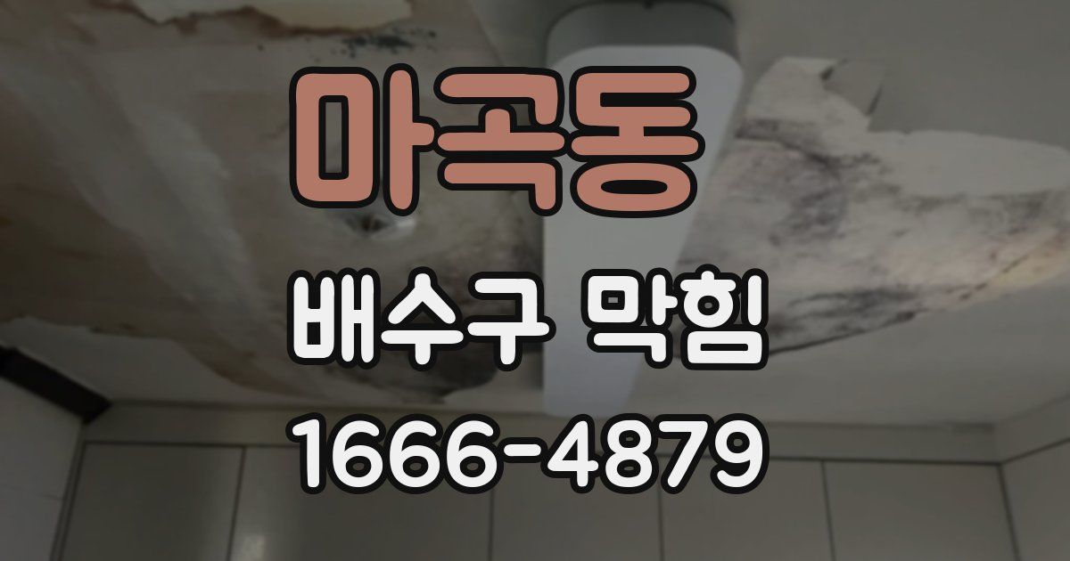 마곡동 배수구 막힘