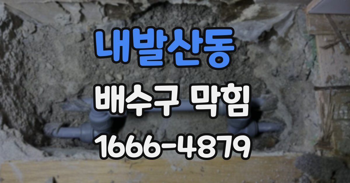 내발산동 배수구 막힘