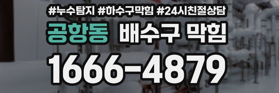공항동 배수구 막힘
