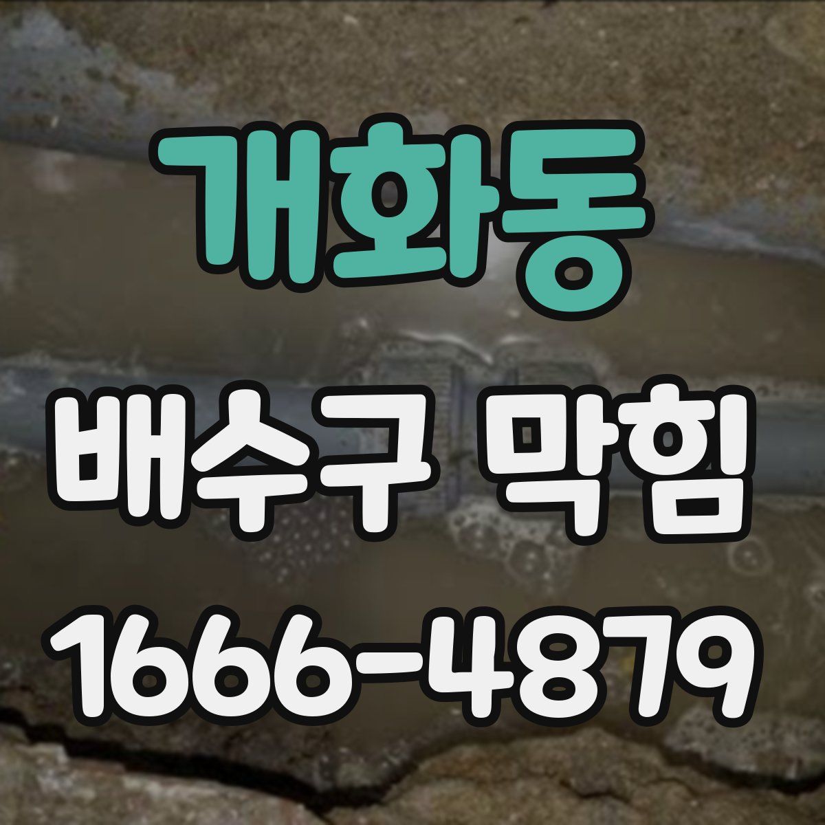 개화동 배수구 막힘