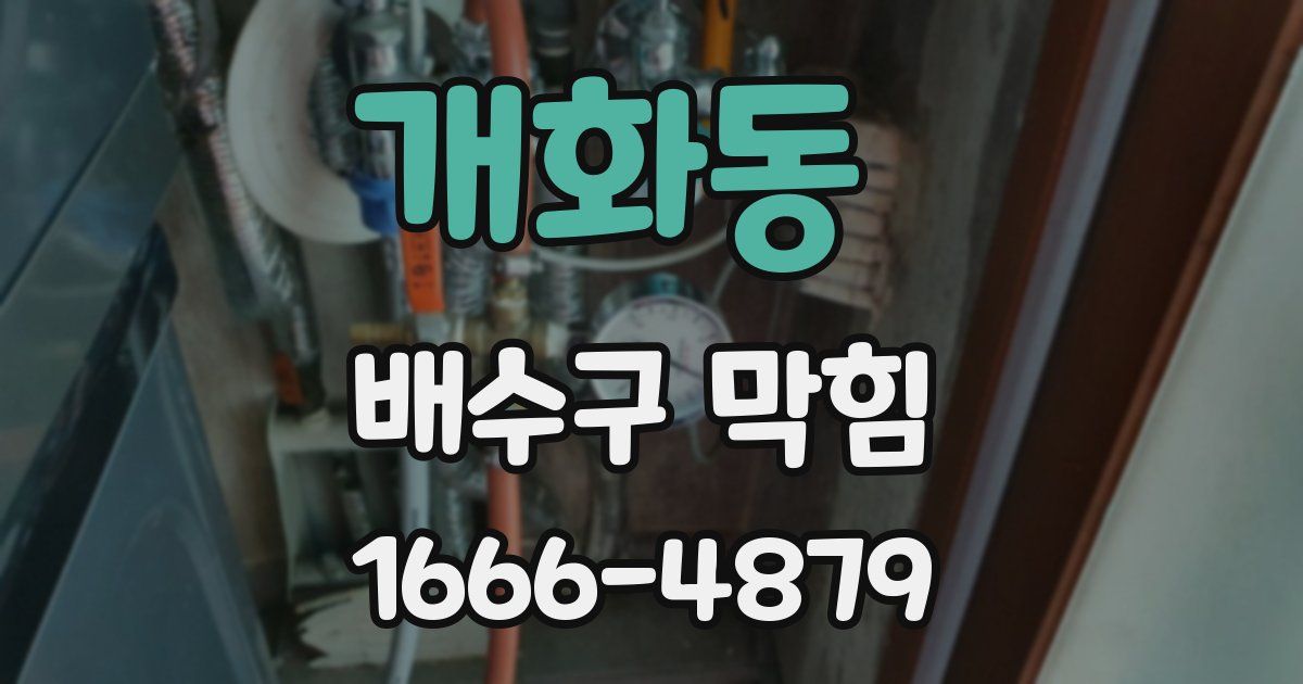 개화동 배수구 막힘