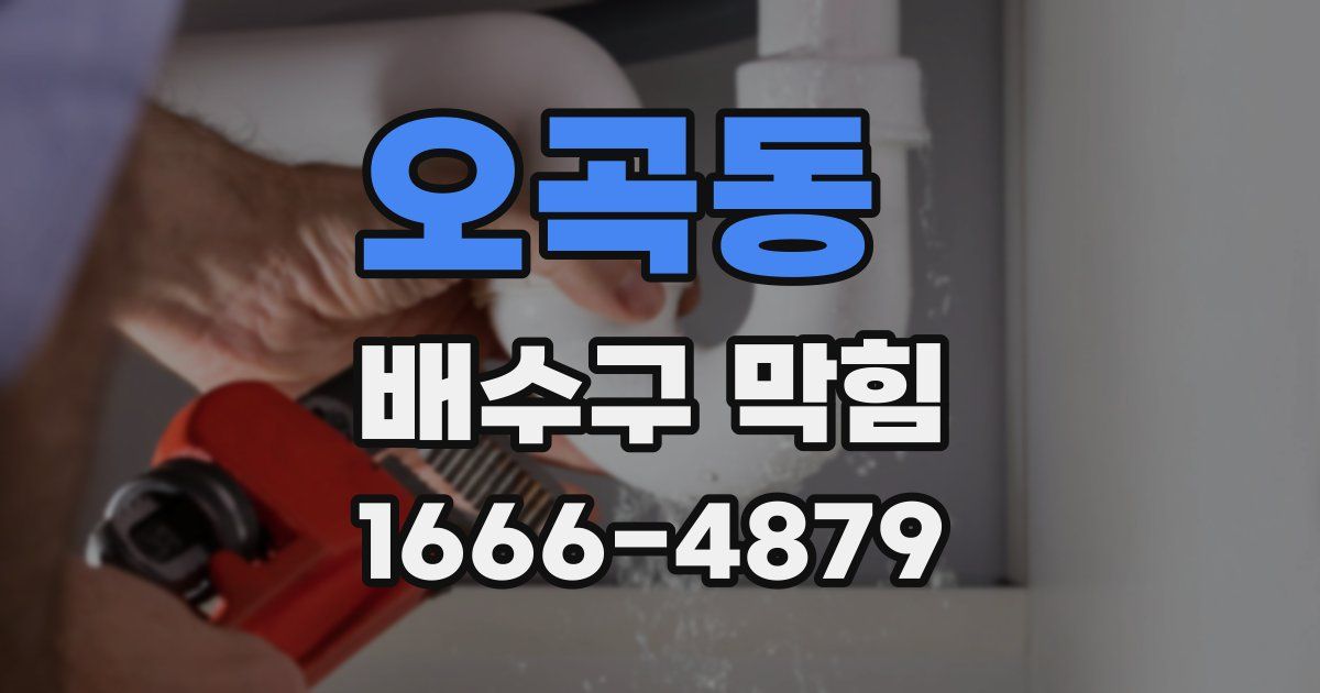 오곡동 배수구 막힘
