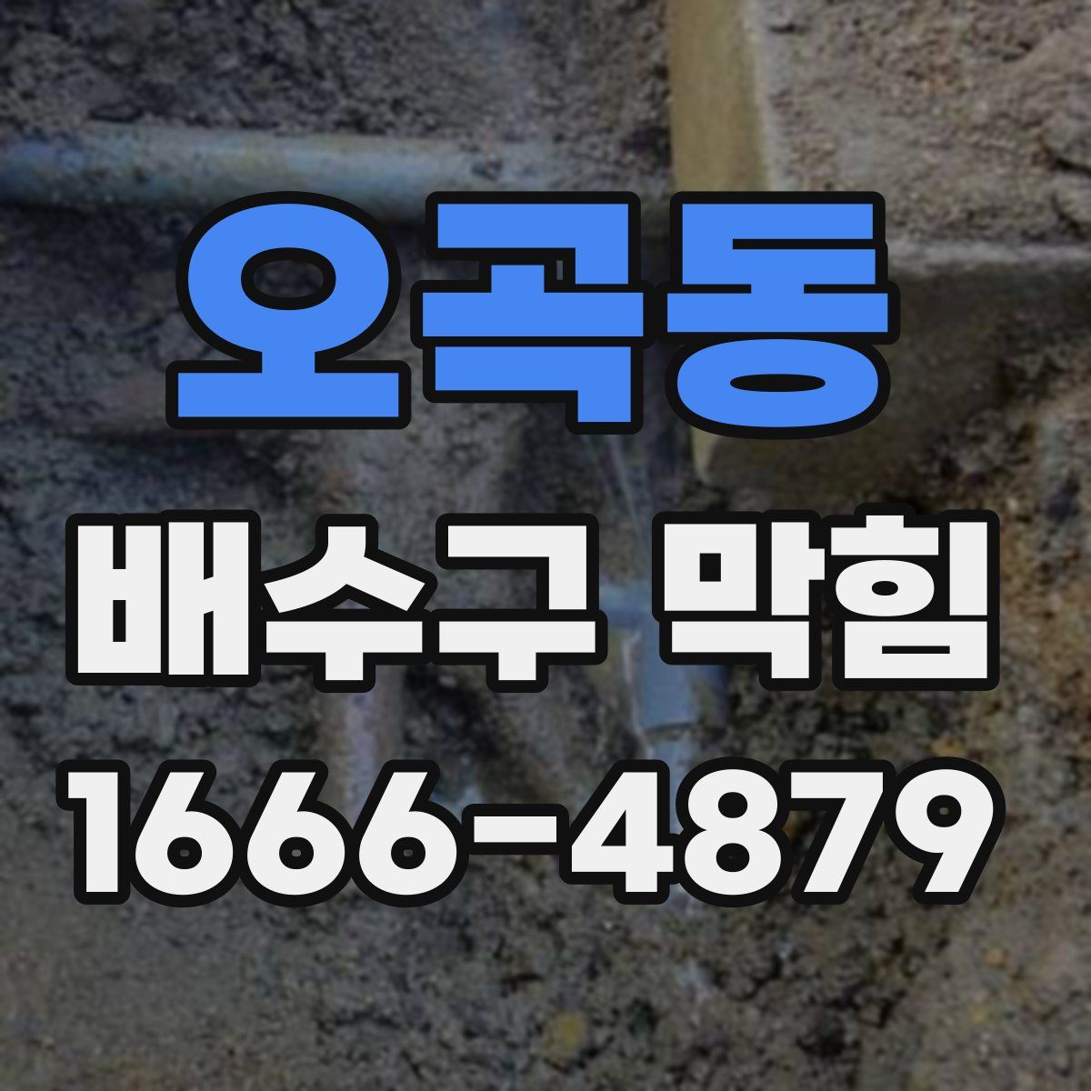 오곡동 배수구 막힘