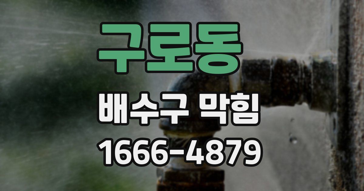 구로동 배수구 막힘
