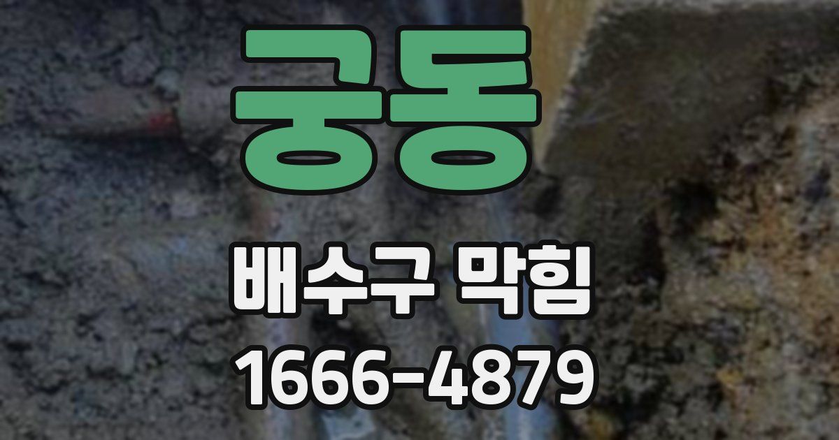 궁동 배수구 막힘