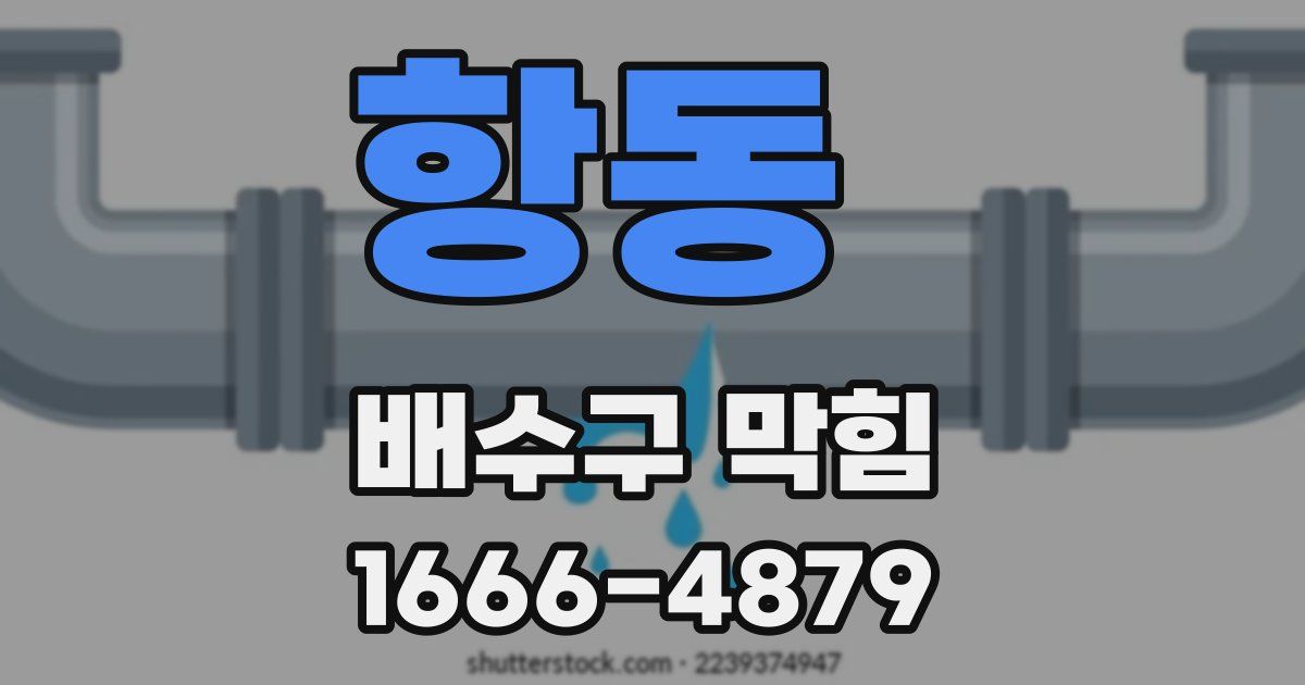 항동 배수구 막힘