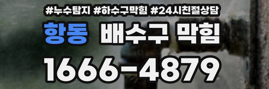 항동 배수구 막힘