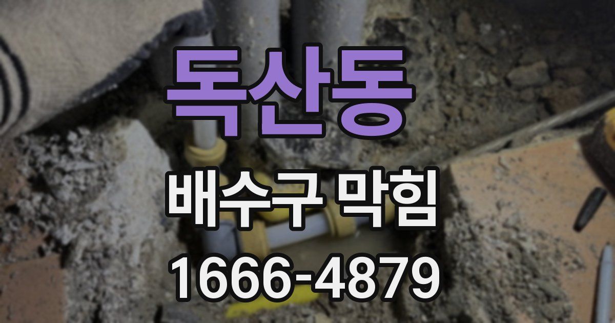 독산동 배수구 막힘