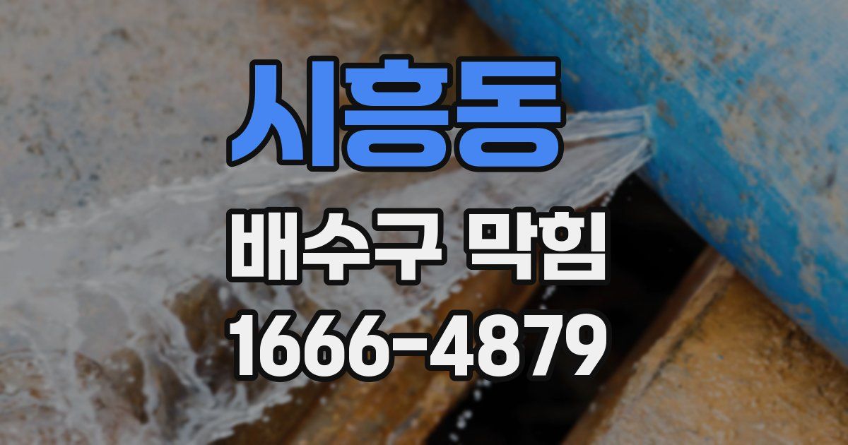 시흥동 배수구 막힘