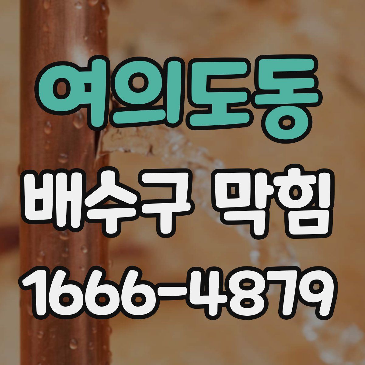 여의도동 배수구 막힘