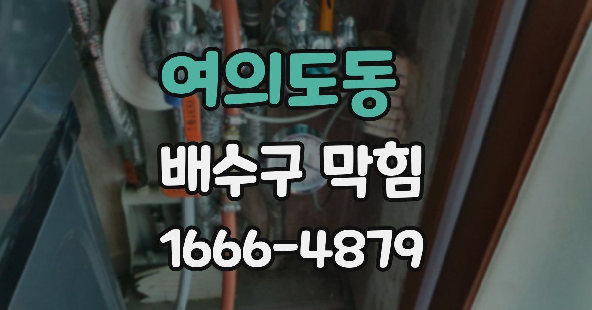 여의도동 배수구 막힘