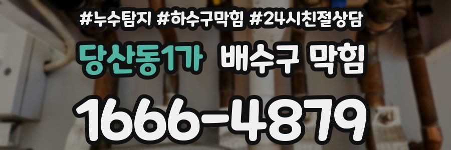 당산동1가 배수구 막힘