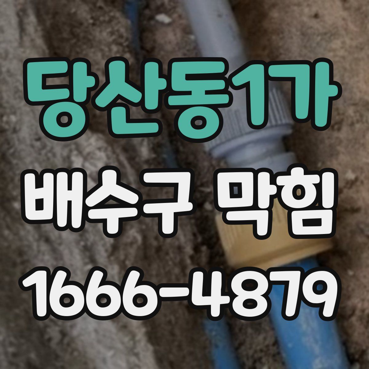 당산동1가 배수구 막힘