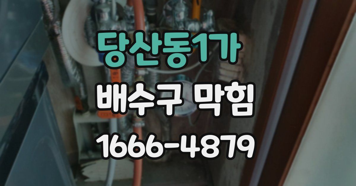 당산동1가 배수구 막힘