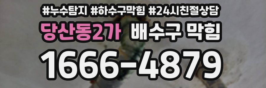 당산동2가 배수구 막힘