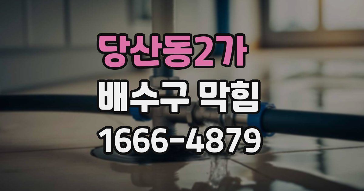 당산동2가 배수구 막힘