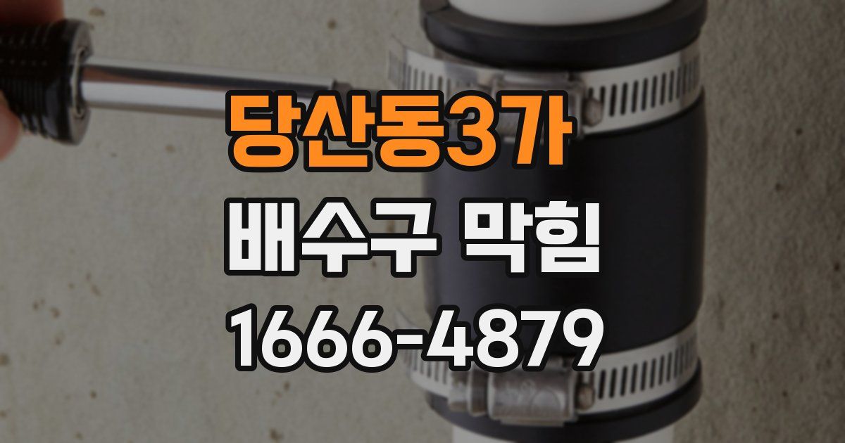 당산동3가 배수구 막힘