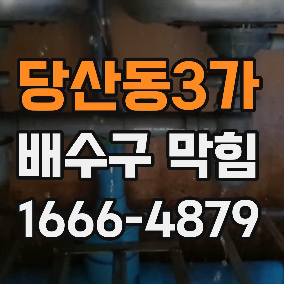당산동3가 배수구 막힘