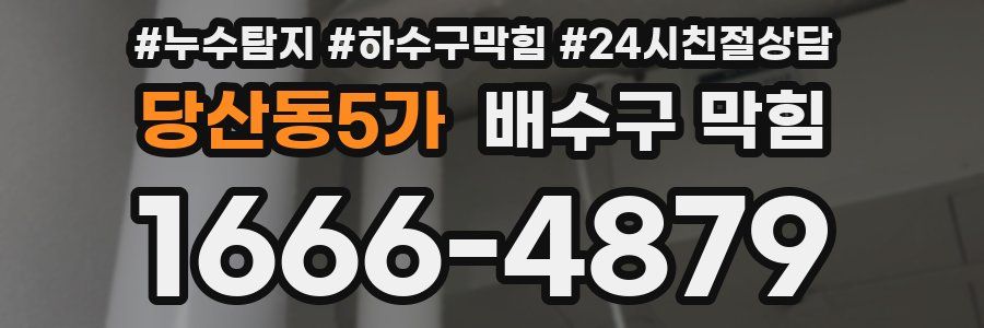 당산동5가 배수구 막힘