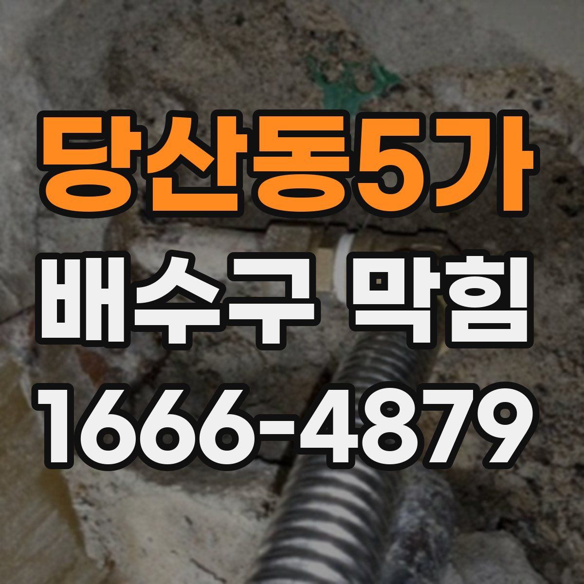 당산동5가 배수구 막힘
