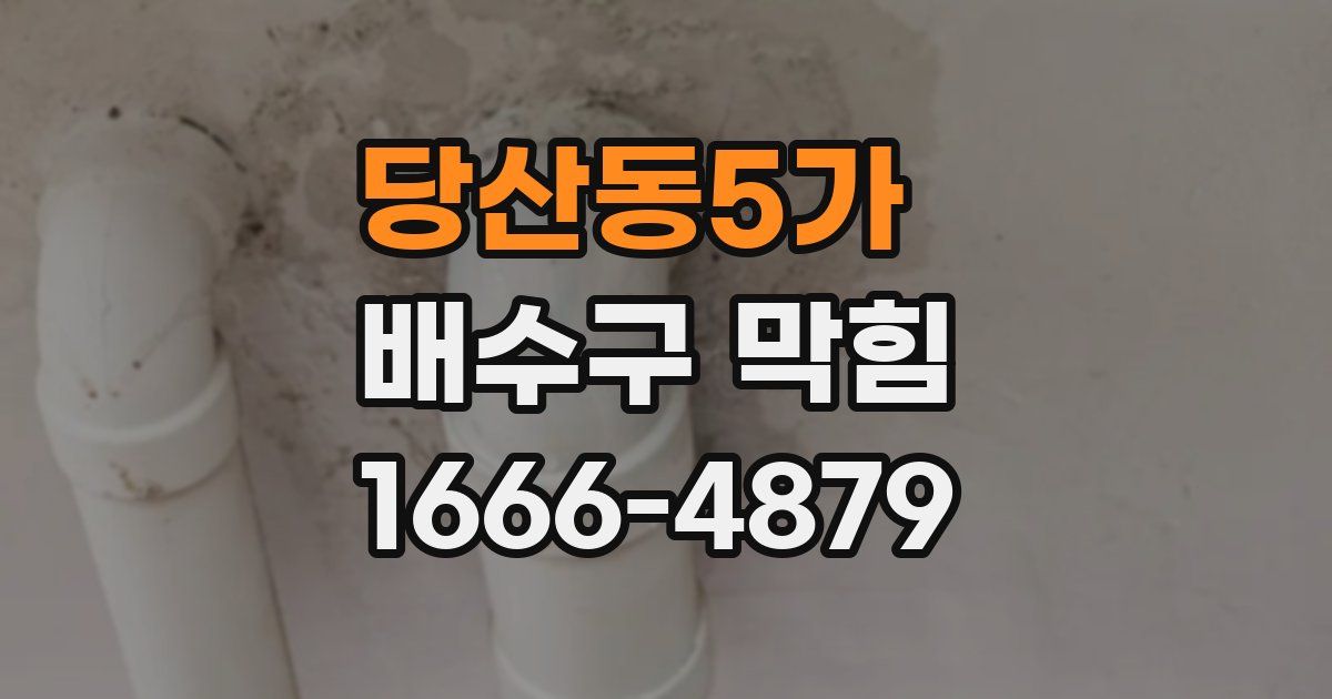 당산동5가 배수구 막힘